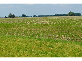 Property photo 107 - LAND AUCTION - 700+/- ACRES OFFERED IN 16 TRACTS IN ALLEN COUNTY, INDIANA